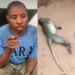 Man arrested in Awka for K!ling a Monkey 10 Man arrested in Awka for K!ling a Monkey