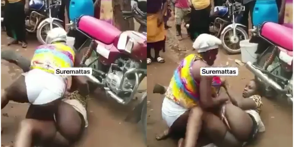 2 women fight dirty over a man [Video]