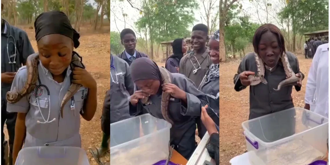 Lecturer asks students to handle a snake or risk carryover [WATCH VIDEO]