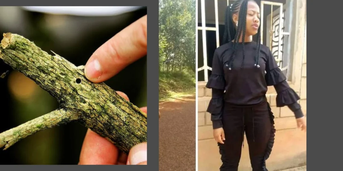 Man beats his stepdaughter to death with a coffee stem 1 Man beats his stepdaughter to death with a coffee stem