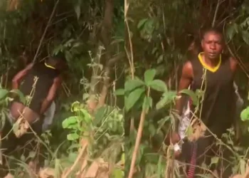 Trending video of a man caught giving his wife collapsed dóggy in the bush