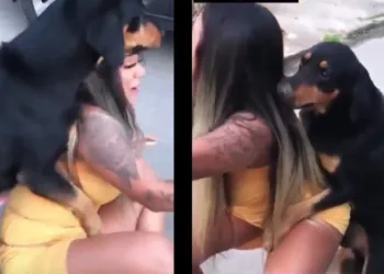 Lady allows a dog to ride her on the street [WATCH]