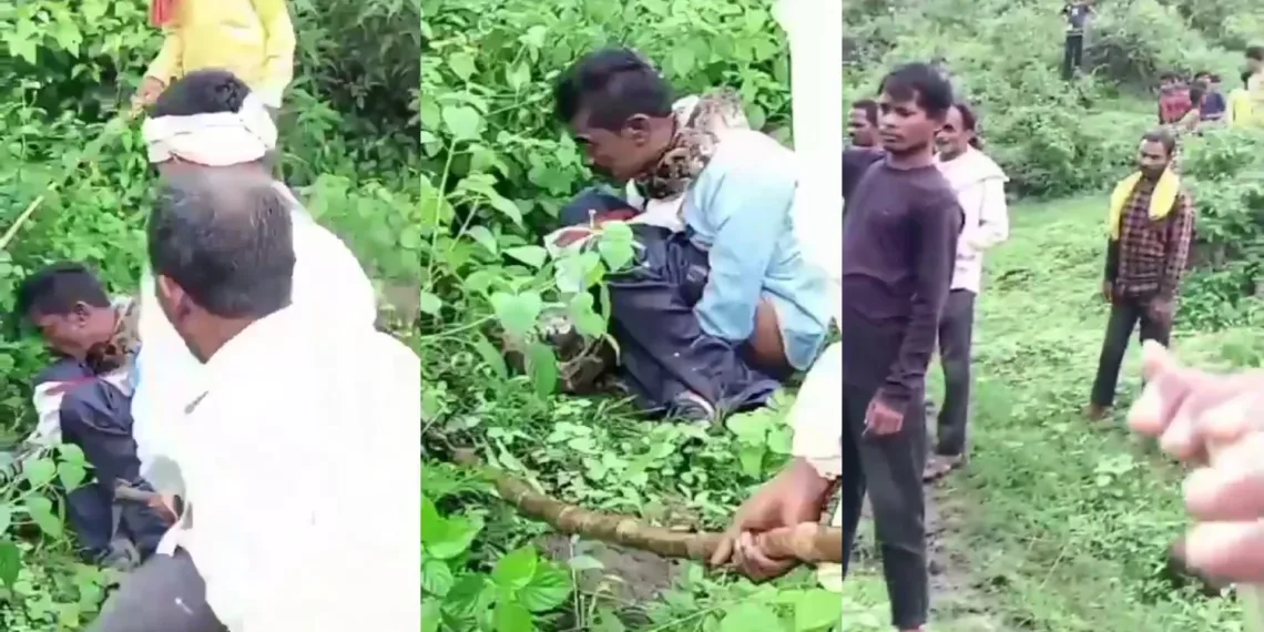 Huge Python Tried To Grab & Swallow A Man Who Went To Poop At Open Place [VIDEO]