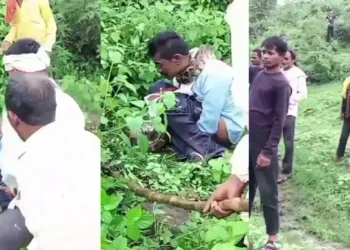 Huge Python Tried To Grab & Swallow A Man Who Went To Poop At Open Place [VIDEO]