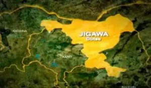Profile 10 Jigawa State