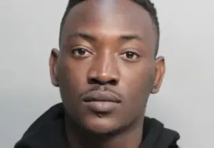 dammy krane