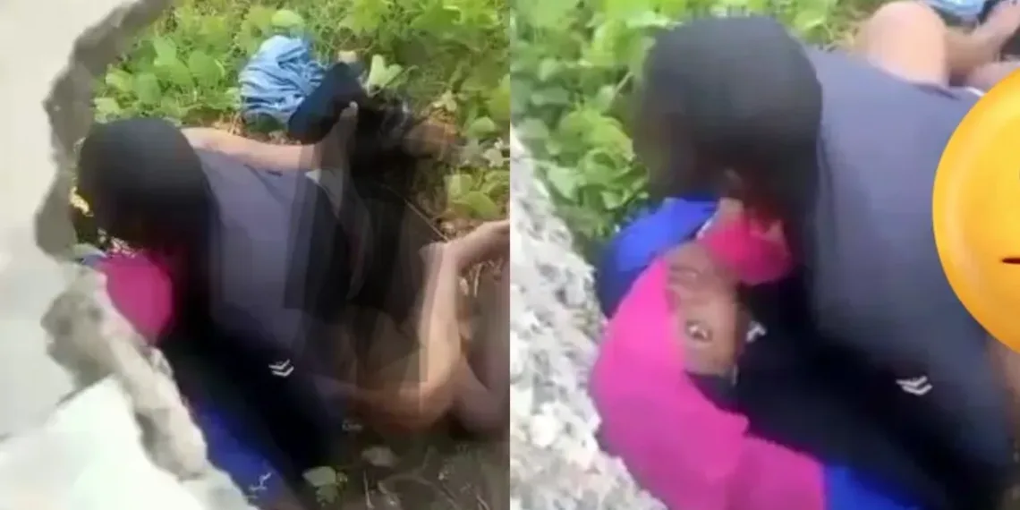 VIDEO: These Two Were Caught By Security Guards By The Fence 1 VIDEO: These Two Were Caught By Security Guards By The Fence