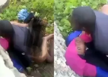 VIDEO: These Two Were Caught By Security Guards By The Fence