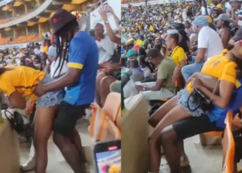 Viral Video Of A Sundown Fan Molesting An Unconscious Lady Inside The Stadium