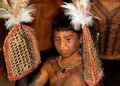 Why Young Men Wear Gloves Filled With Venomous Bullet Ants In Brazil