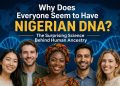 Why Does Everyone Seem to Have Nigerian DNA? The Fascinating Truth Behind Human Ancestry 2 Why Does Everyone Seem to Have Nigerian DNA? The Fascinating Truth Behind Human Ancestry